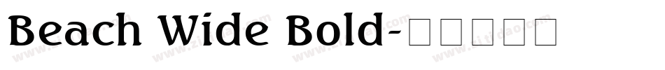 Beach Wide Bold字体转换